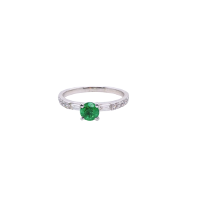 51300.png