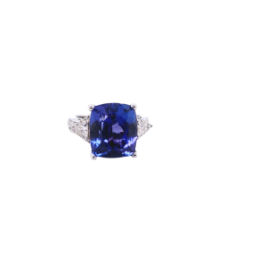 55494.png