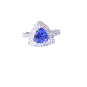 66769-1.png