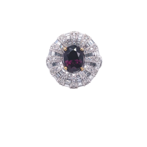 R13240-0.png