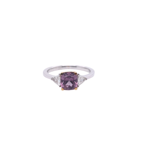 R30338.png